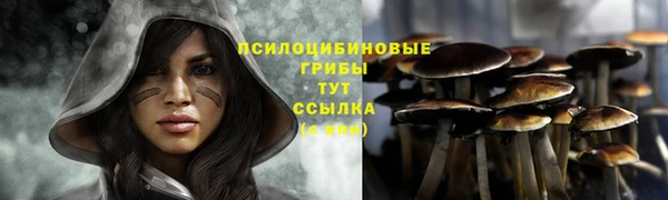 метадон Абаза